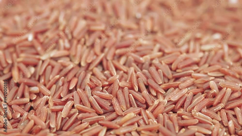 Red Kernel Rice in bulk