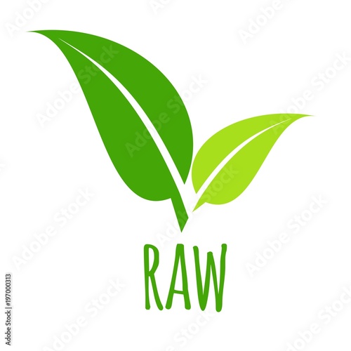Raw icon green leaf vector illustration isolated.