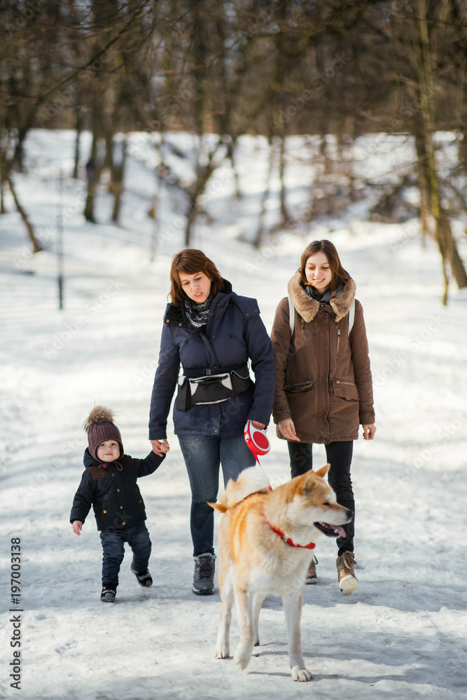 Two women have fun with a little boy walking around a winter park with Akita-inu dog
