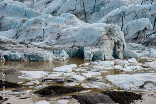 the lagoon of the glacier tongue svinafellsjökull in Iceland with floating ice sheets.