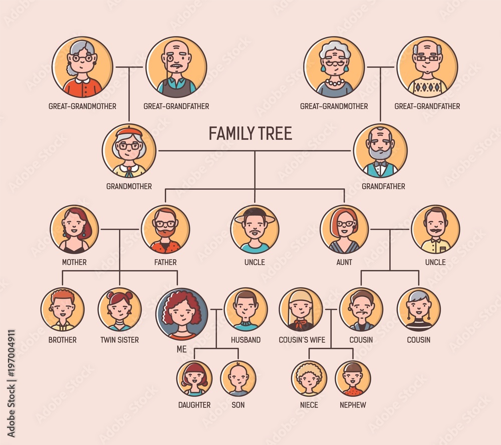 Pedigree or ancestry chart template with portraits of men and women in  round frames. Visualization of links between ancestors and descendants,  family members. Modern colorful vector illustration. Stock Vector