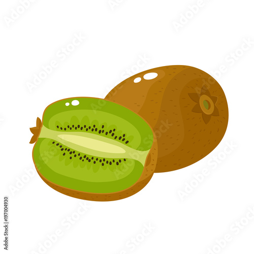 Bright vector illustration of colorful fresh kiwi isolated on white