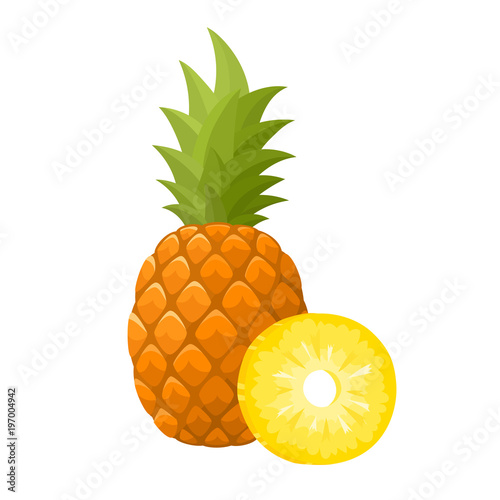 Bright vector illustration of fresh pineapple isolated on white