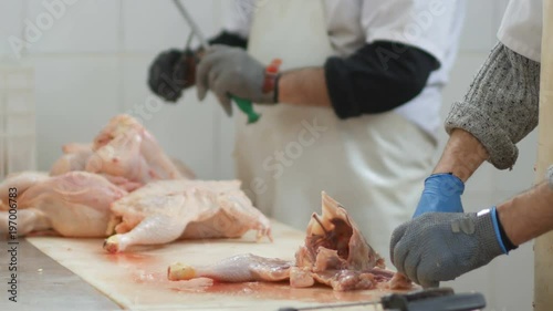 Food processing plant, chicken meat. Close up of man hands cut meat