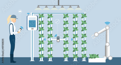 Vertical greenhouse gardens. Growing micro greens.  Smart farm with wireless control. Vector illustration.