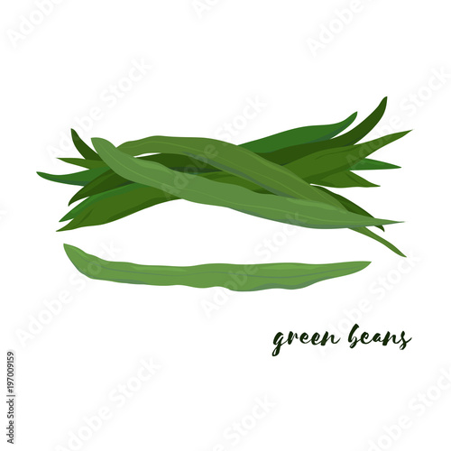 Green beans. Flat design. Vector illustration