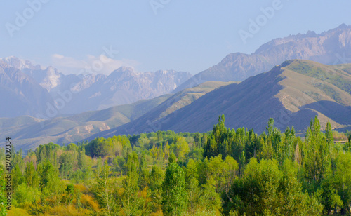 Landscape view over the trees in Kyrgystan 
