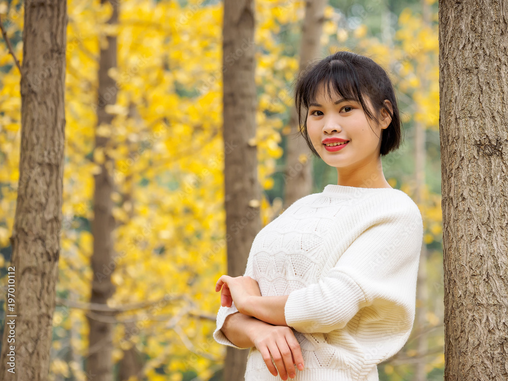 Young Chinese smiling girl portrait stand with golden autumn forest background in park. Outdoor. Young Chinese smiling girl portrait stand with golden autumn forest background in park. Outdoor.