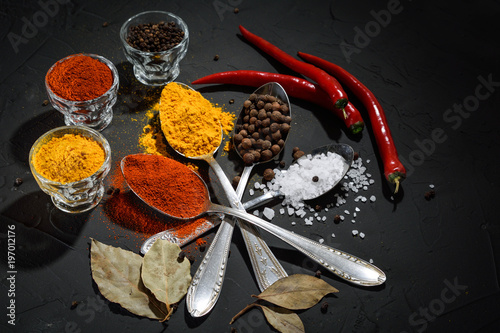 Various spices spoons on stone table.On dark concrete background.Herbs and spices on wooden table.  Top view with space for your text