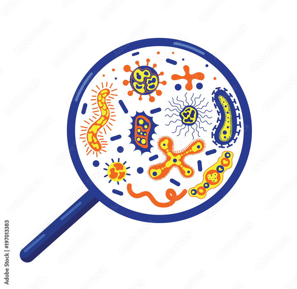 is protozoa a bacteria or virus