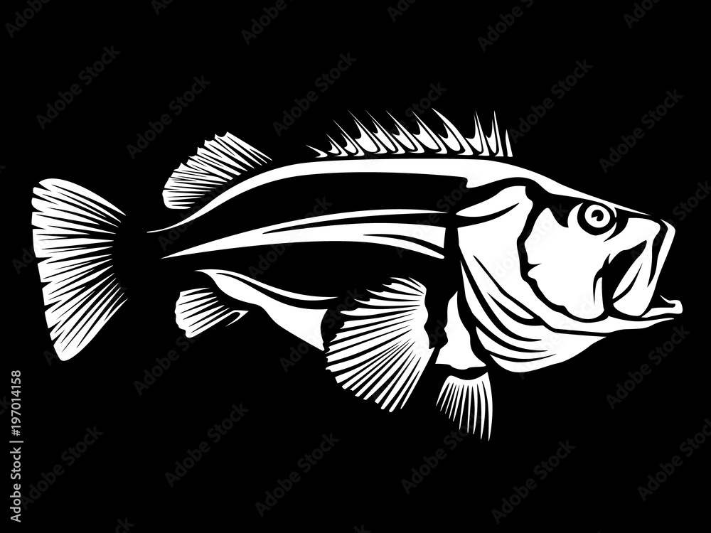 Fishing logo.Rock fish. Bass fish with rod club emblem. Fishing theme  illustration. Isolated on white. Stock Vector