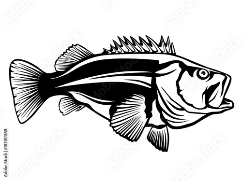 Fishing logo.Rock fish. Bass fish with rod club emblem. Fishing theme illustration. Isolated on white.