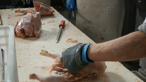 Food processing plant, chicken meat. Close up of man hands cut meat