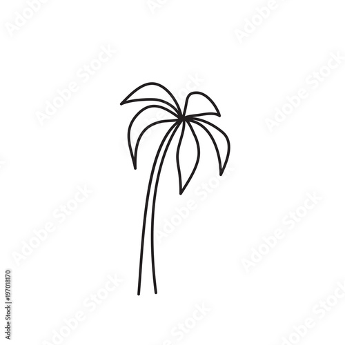 palm tree icon on white background
