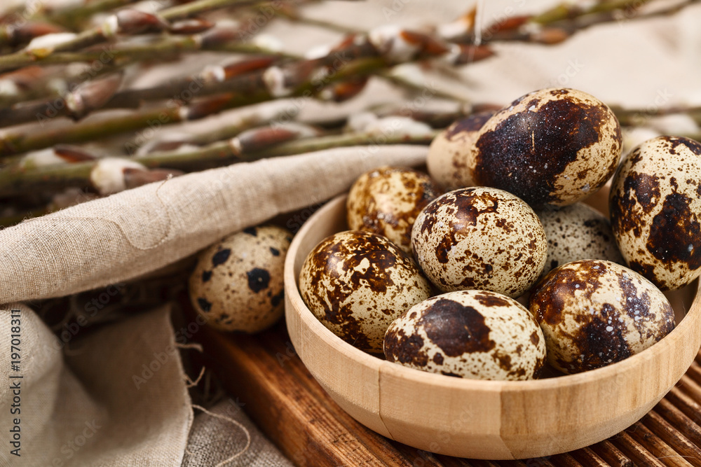 quail eggs with willow branches with textile. Springtime. Happy easter quail eggs with willow branches with textile. Springtime. Happy easter