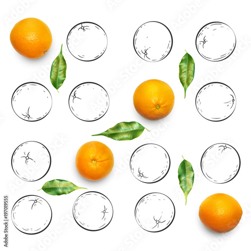Fruit composition with fresh orange and cartoon cute doodle drawing oranges on white background. Creative minimalistic food concept.