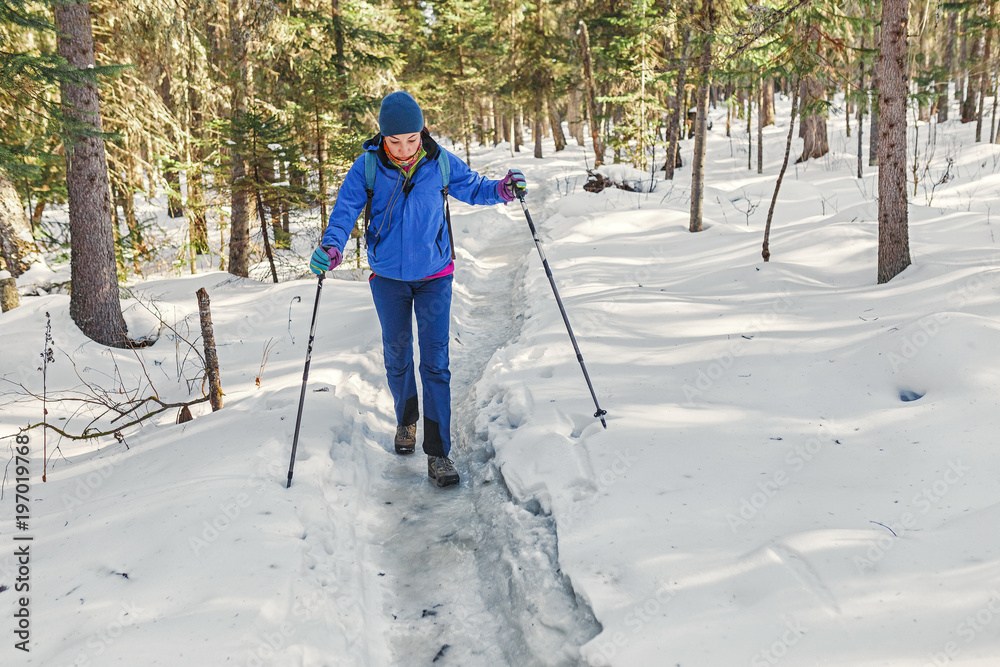 Woman hiker travelling with backpack and trekking gear on snow trail forest in mountains, winter activity and recreation concept