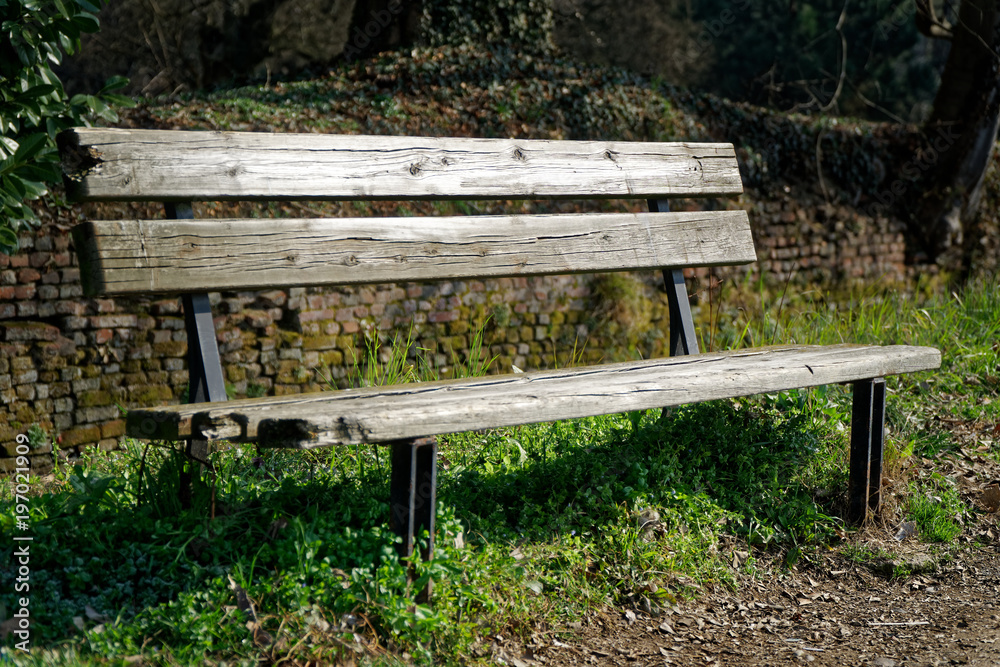 One wooden bench on sunny day in Italy, public parkland