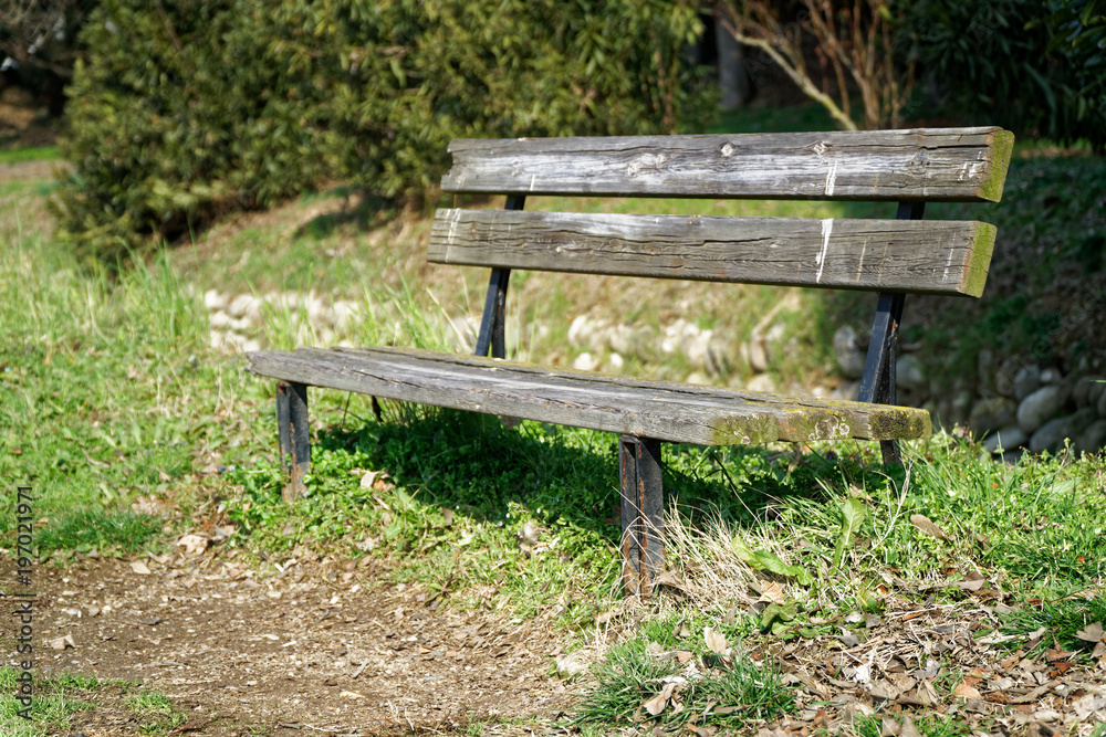 One wooden bench on sunny day in Italy, public parkland One wooden bench on sunny day in Italy, public parkland