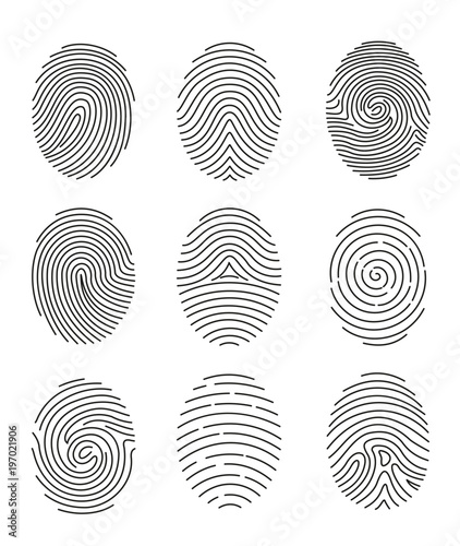 Vector illustration set of nine black line fingerprint types on white background.