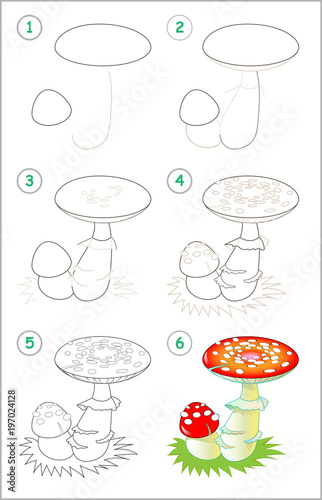 Page shows how to learn step by step to draw a fly amanita. Developing children skills for drawing and coloring. Vector image.