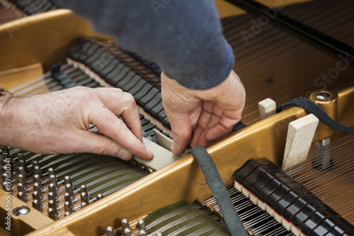 closeup of hand and tools of tuner working on grand piano photo