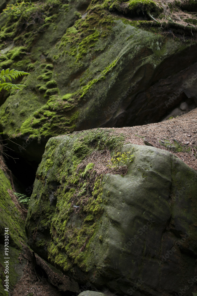 Obraz premium Rock City 