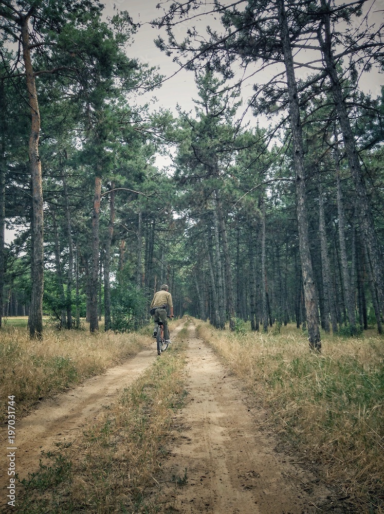 Perspective shot if a road in a forest and a cycling person Perspective shot if a road in a forest and a cycling person