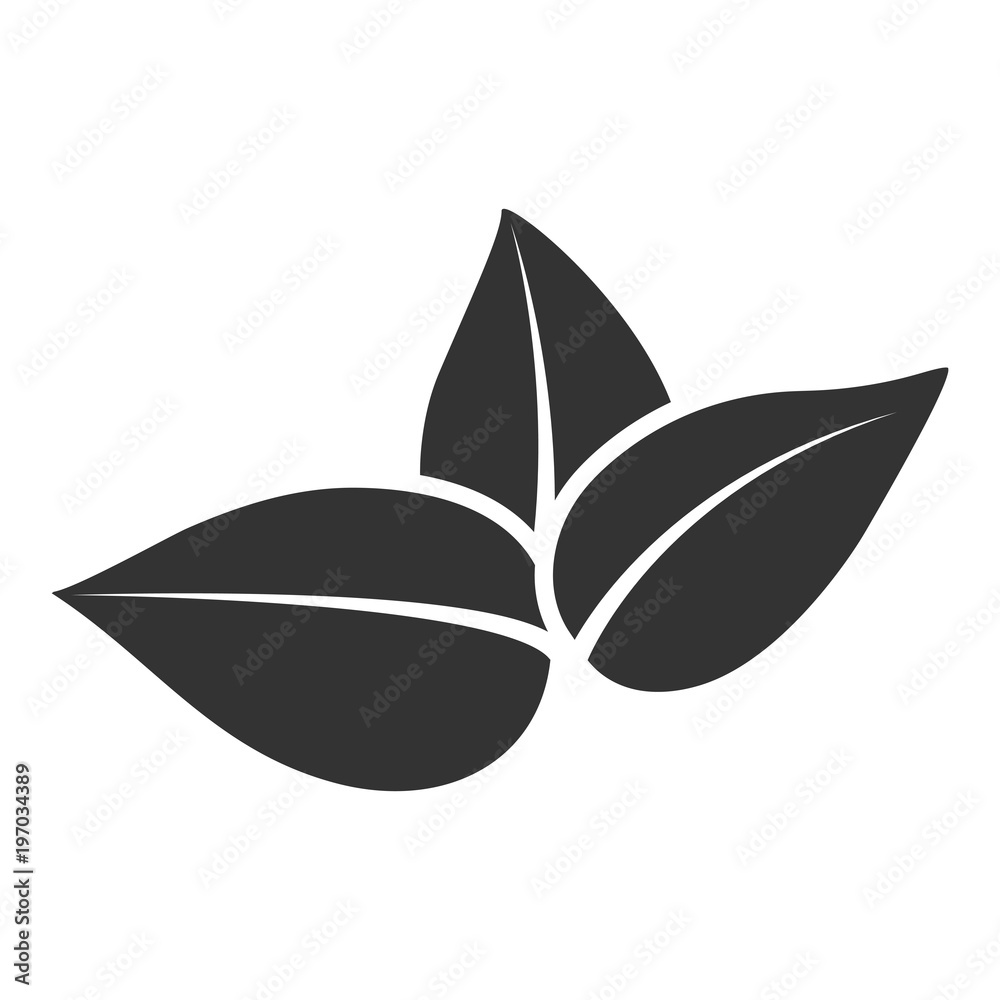 Vector stylized silhouette of tea tree spring leaf isolated on white background. Eco sign, label of nature. Decorative element for medical, environmental brands