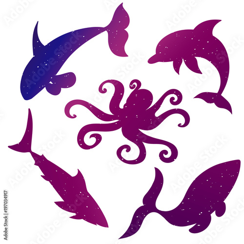  vector silhouettes of sea animals, starry sky,octopus, shark, killer whale, dolphin, whale