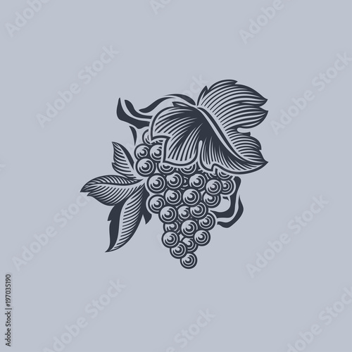 Grape with leaf. Vector logo mark template or icon