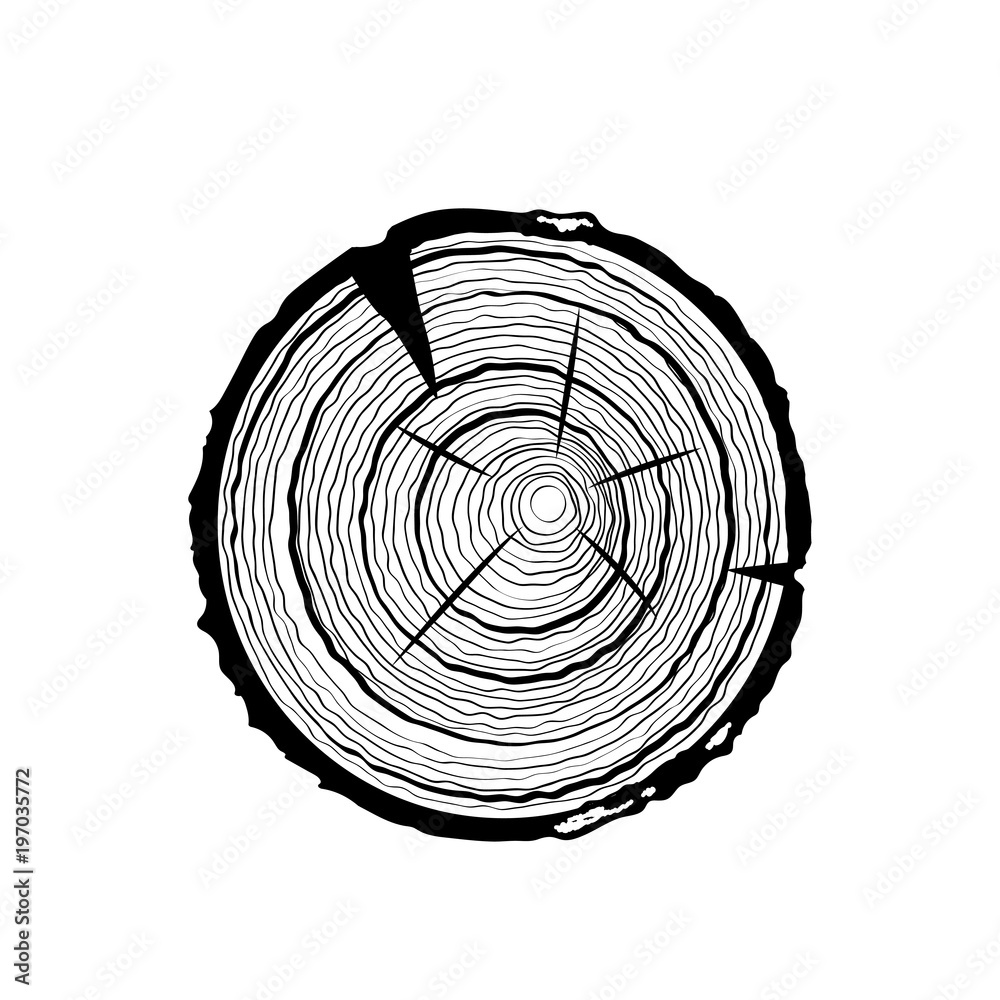 Tree Trunk Stump Annual Rings - Free photo on Pixabay - Pixabay