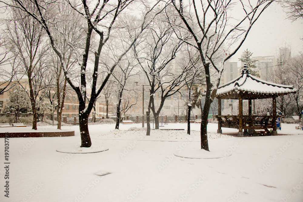 Heavy snowfall in March, Korea.