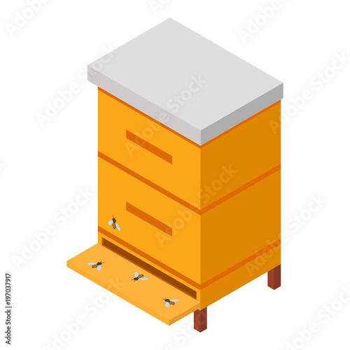 Wooden hive icon. Isometric illustration of wooden hive vector icon for web