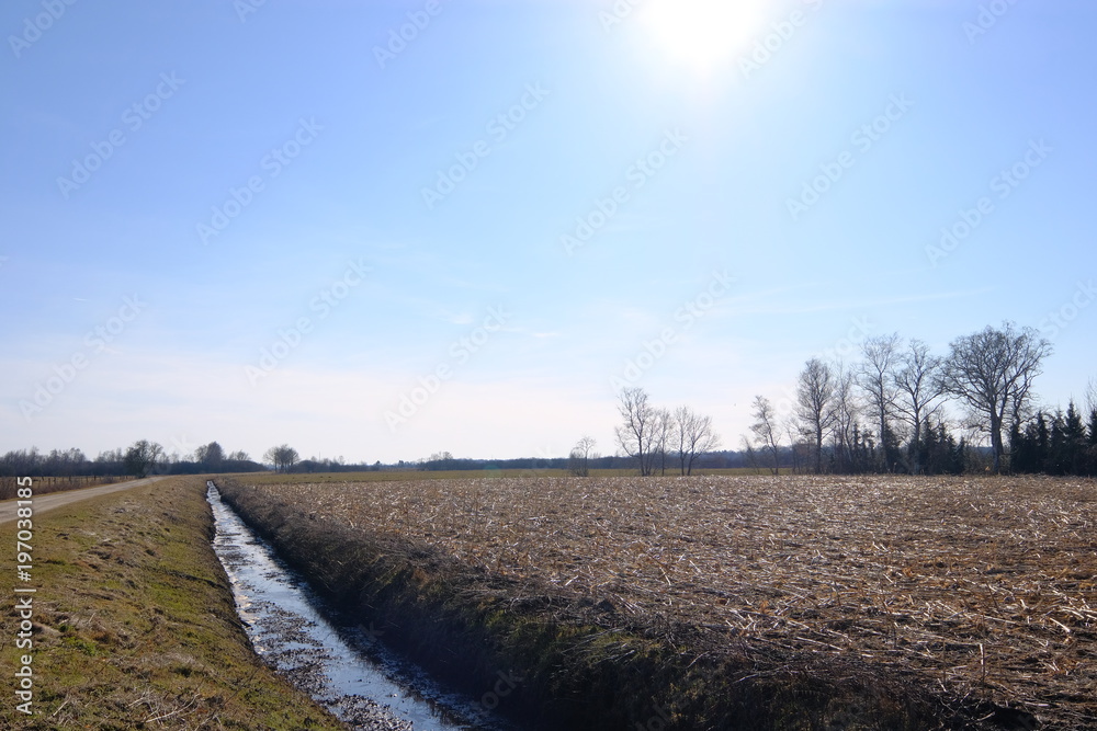 Winter am Breiten Wasser im März