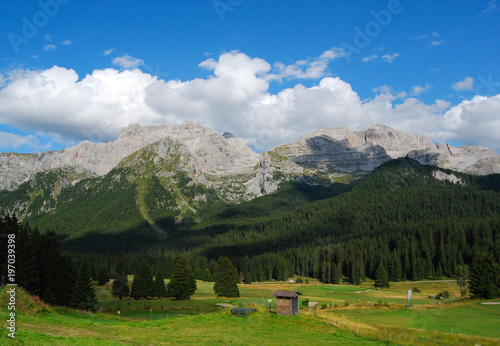 Golf course with wood and dolomites as a backdrop - Madonna di Campiglio - Trentino Alto Adige