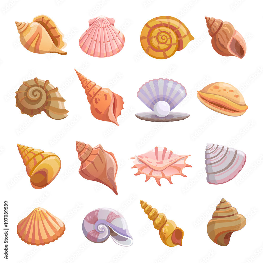 Sea shell beach icons set. Cartoon illustration of 16 Sea shell beach  tropical underwater vector icons for web Stock Vector | Adobe Stock