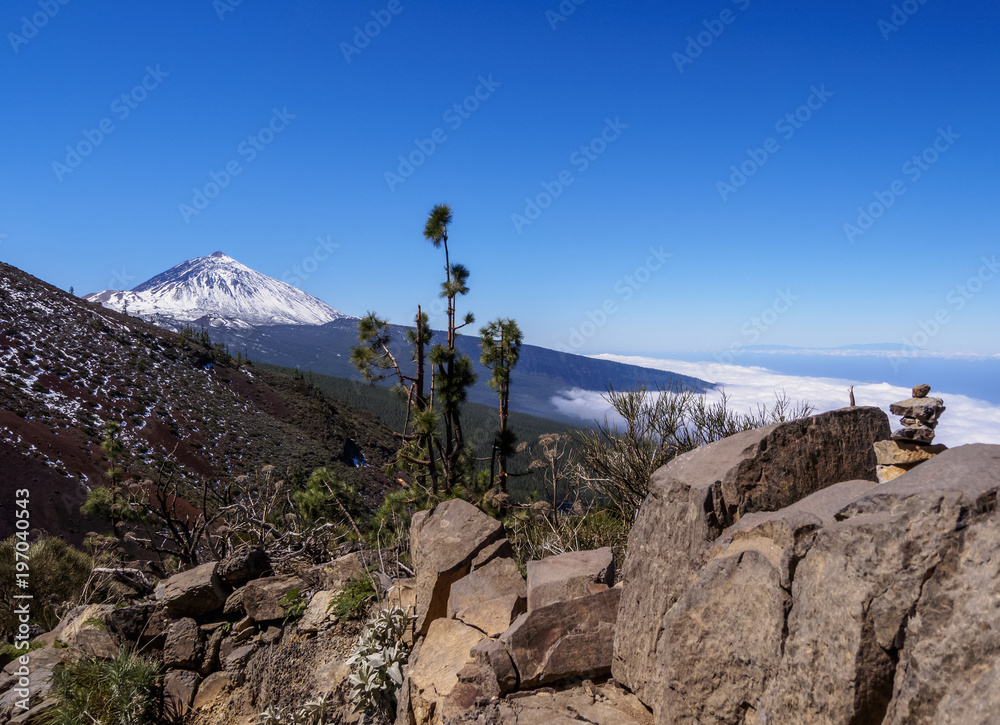 Fototapeta premium View towards Teide Peak covered with snow, Teide National Park, Tenerife Island, Canary Islands, Spain