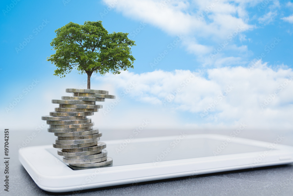 Concept of money tree growing from money with smart phone on blue sky background. Financial, accounting and saving concept.