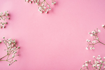 Fowers on a pink background. Flat Lay. Copy space.