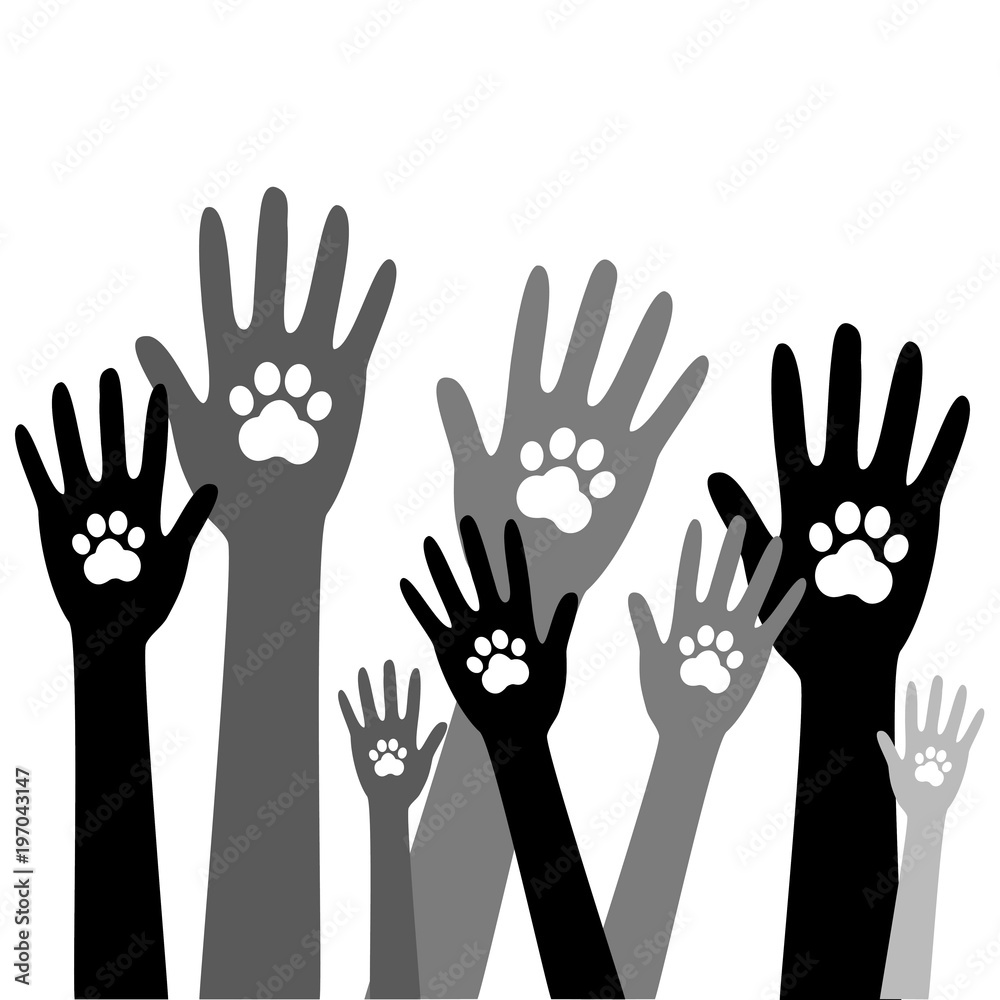 Animal dog paw in people hand 3 Animal dog paw in people hand 3
