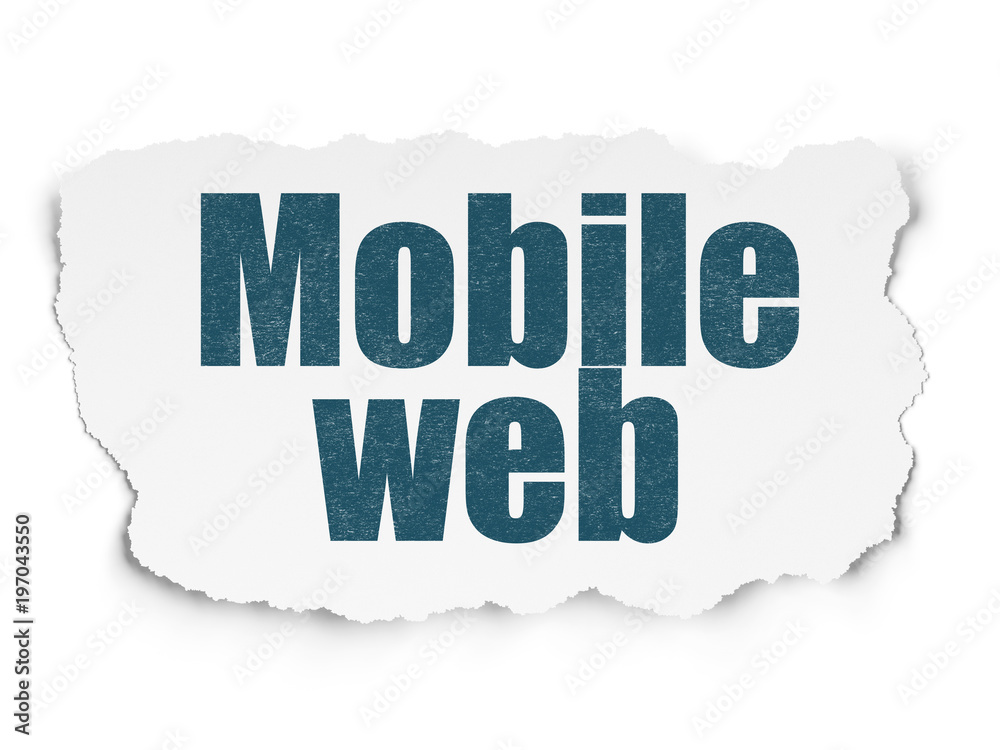 Web development concept: Painted blue text Mobile Web on Torn Paper background with Scheme Of Binary Code Web development concept: Painted blue text Mobile Web on Torn Paper background with Scheme Of Binary Code