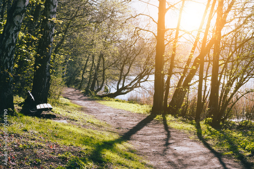 Obraz premium City park in spring time. Walk path and an bank near pond. Sun rays coming through tree branches