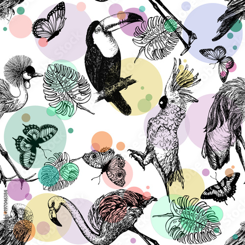 Seamless pattern of hand drawn sketch style exotic birds, plants and butterflies isolated on white background. Vector illustration.