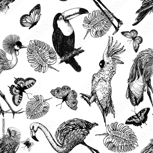 Seamless pattern of hand drawn sketch style exotic birds, plants and butterflies isolated on white background. Vector illustration.