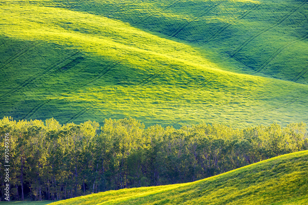 Fototapeta premium Rolling fields in rural landscape with sun spot