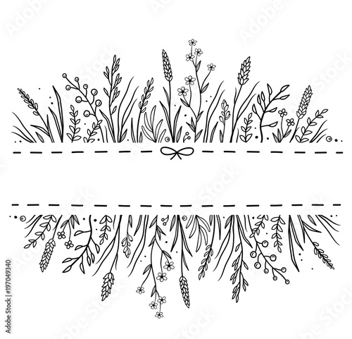hand drawn background with wild herbs ad flowers
