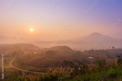 Beautiful forest landscape of foggy sunrise from the scenic Khao Takian Ngo, khao Kho