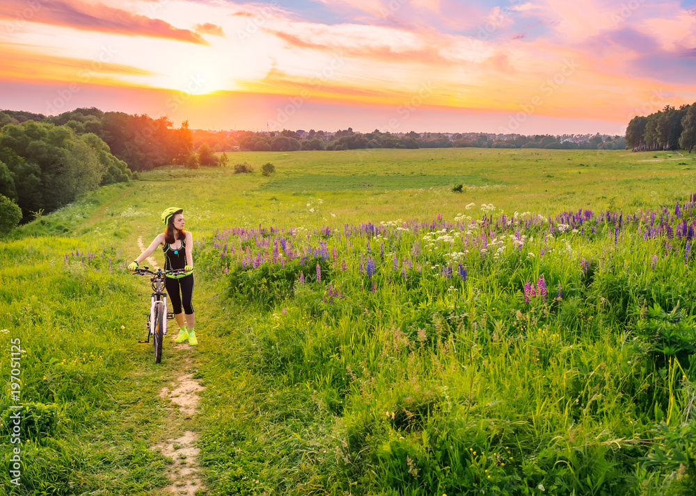 Young sporty woman riding a bicycle at sunset. Sporty girl goes uphill with bike and enjoy the beautiful field of lupines . Lens flare against the sky background Young sporty woman riding a bicycle at sunset. Sporty girl goes uphill with bike and enjoy the beautiful field of lupines . Lens flare against the sky background