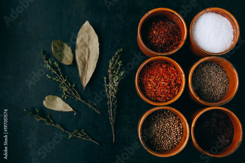 Set of spices on dark grey background.  Food art concept. Composition of bottles with colored herbs and spices.